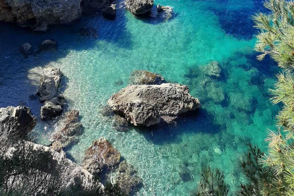 IMG-20220505-WA0022_CORTADA